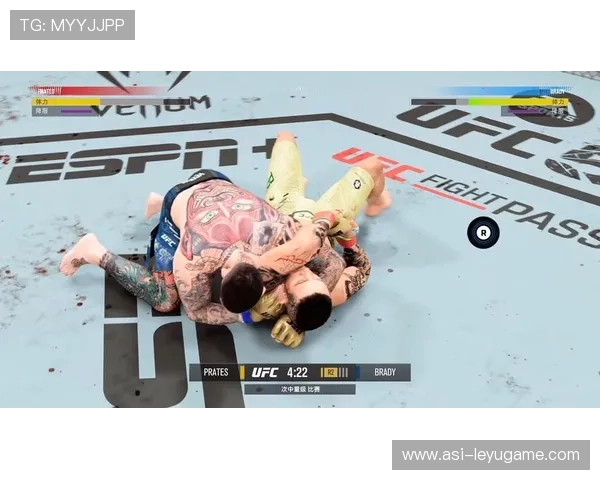 UFC地面压制连拿分数展示绝对主导——全面解析与实战训练